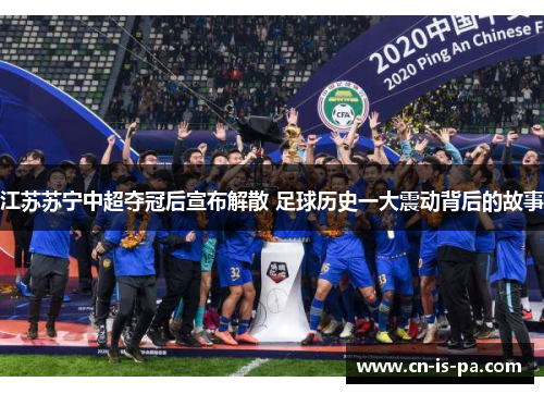 江苏苏宁中超夺冠后宣布解散 足球历史一大震动背后的故事